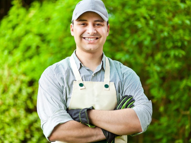 Por que escolher o Podador de Galhos Stihl GTA 40 para a poda profissional?