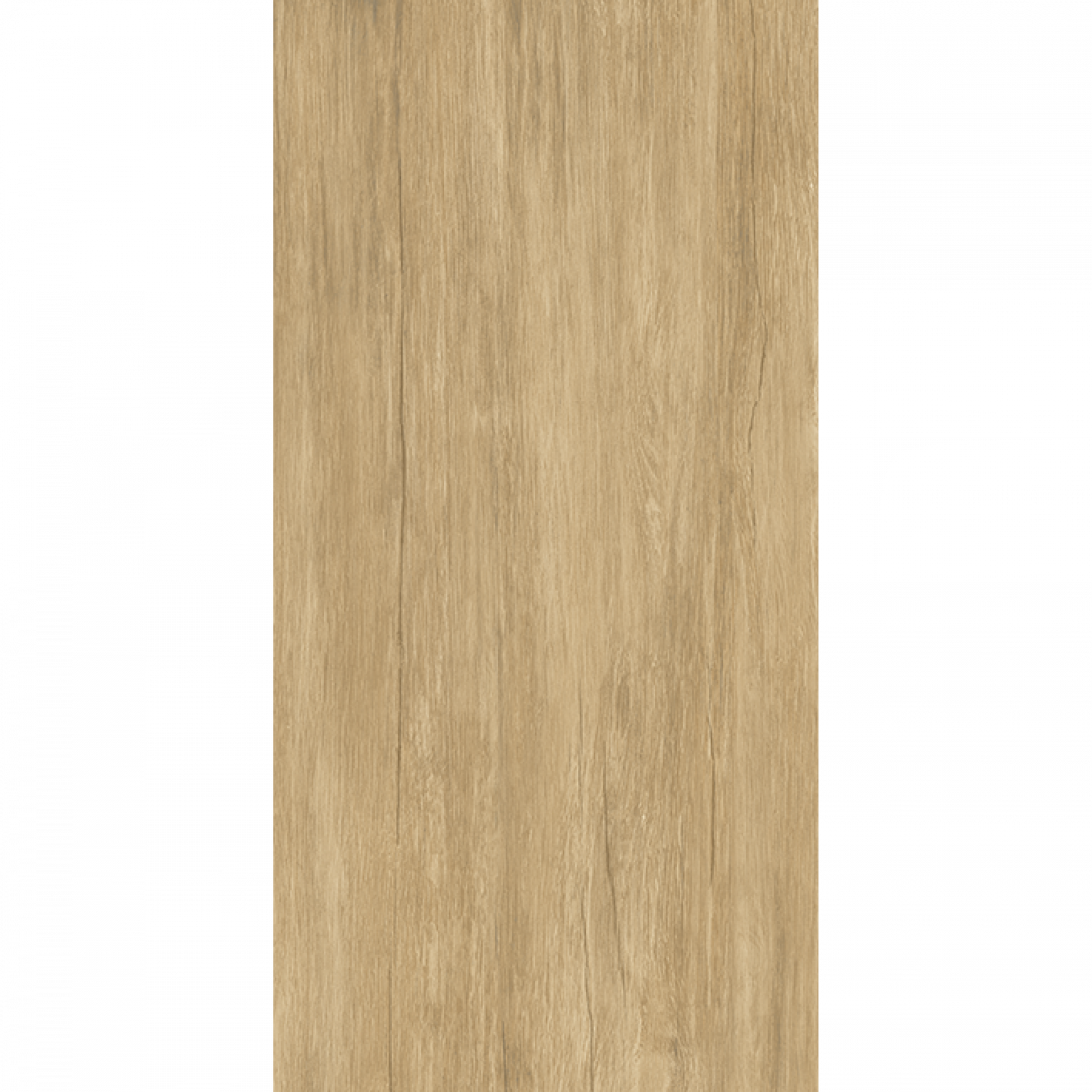 Porcelanato C Legno Avorio Acetinado 56x113cm