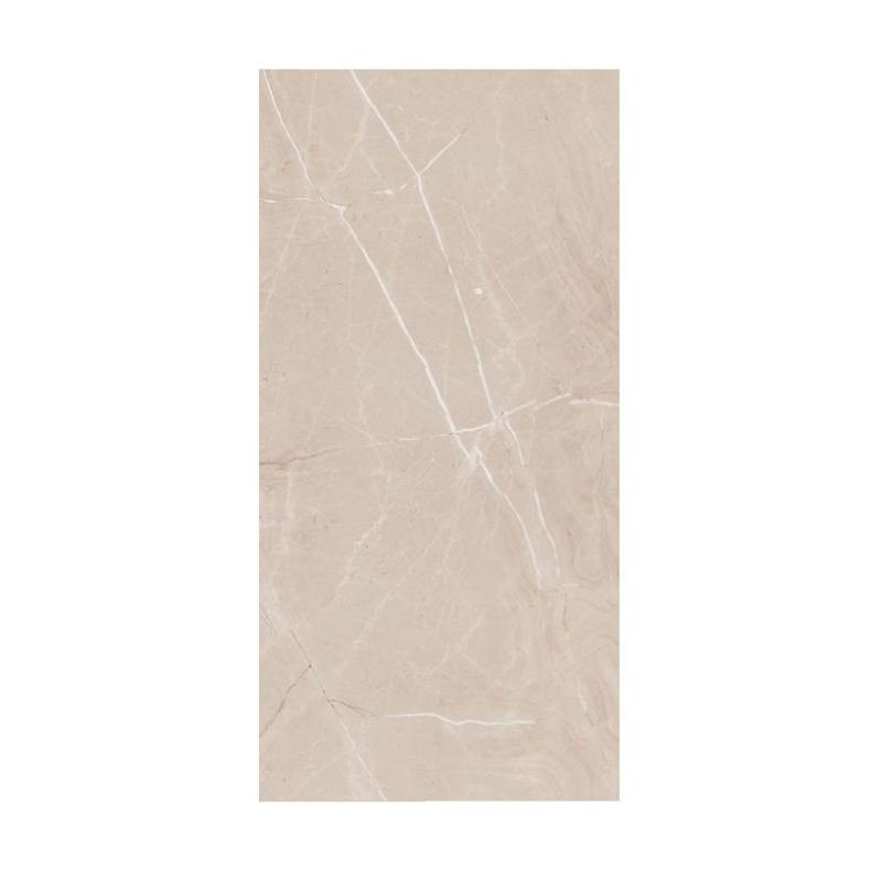 Porcelanato C Accord Polido 50x101cm